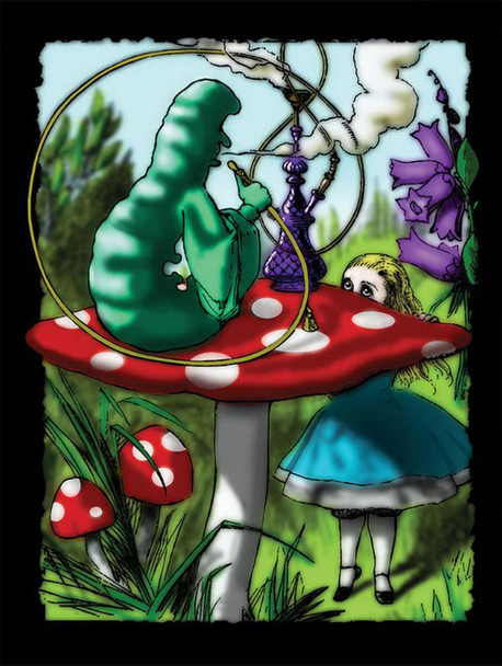 Alice Fleece Blanket - Medium Weight / 79" x 94"