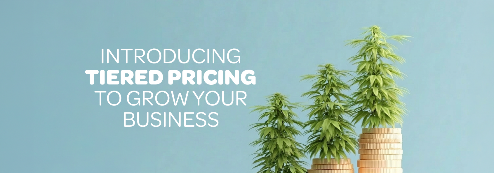 cannabis wholesale accessories