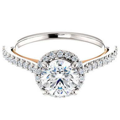 Charlee Halo Setting