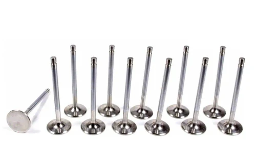 Ferrea +1mm Intake Valve Set | Nissan RB25DET NEO