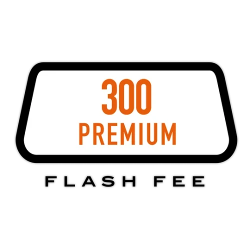 EcuTek Premium Flash Points | 300 Points