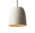 Dome Light