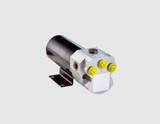 HYDRAULIC REVERSING PUMP For TYPE 2 12V