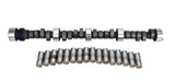 Proform 10SI Series Alternator 100 Amp 1-Wire Single V-Belt Chrome Case for Ford