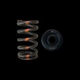 Brian Crower BC0400S Valve Spring Retainer Kit For Mazda MZR Engine Steel