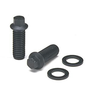 ARP 444-1202 Stainless 12-Point Header Bolt Kit For Mopar 340 360 V8