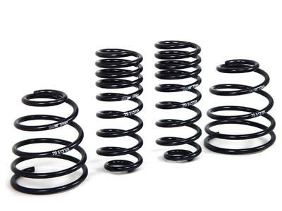 H&R Sport Spring Kit 29513 Porsche 911 1998-2004 Coupe Lowering