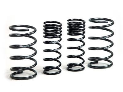 H&R DAW Sport Spring Kit for 2003-2005 Ford Focus  Improves Handling & Style