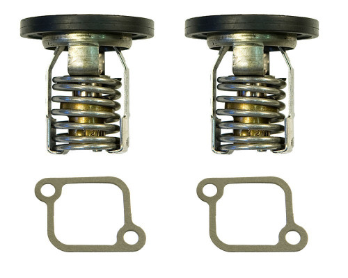 THERMOSTAT KIT