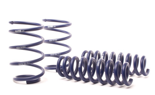 H&R Sport Spring Kit BMW X1 E84 sDrive28i 13-15 Lowering Springs 28959-1