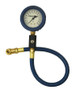 Deluxe Air Gauge 2.5in 0-30 Liquid Filled