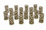 1.304 Dual Valve Springs - RPM Series (16) PAC-1205X-16