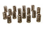 1.244 Single Valve Springs w/Damper - (16)