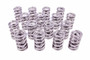 1.574 Dual Valve Springs (16)