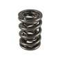 1.645 Triple Valve Springs - (16) PAC-1248-16
