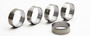 Cam Bearing Set 1220M