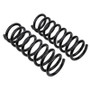 Old Man Emu ARB OME Front Coil Spring Set for Mercedes G-Class G-Wagon