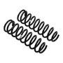 Old Man Emu Front Coil Springs for Toyota Land Cruiser  Load & Ride Control