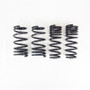 RS-R Down Suspension Lowering Springs for Toyota GR86 2022 Improved Handling