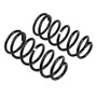 Old Man Emu 2895 Rear Coil Springs for Toyota 4Runner Prado Lift Upgrade