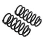 Old Man Emu ARB OME Rear Coil Spring for 2010-2015 Toyota 4Runner & FJ Cruiser