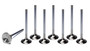 SBC C/6 1.600 Exhaust Valves