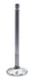 SBC Style 1.940in Intake Valve