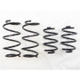 RS-R 13+ Nissan Sentra Down Suspension Springs Fits TB17 (B17) Lowering Kit