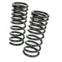 RS-R 13+ Nissan Sentra Down Suspension Springs Fits TB17 (B17) Lowering Kit