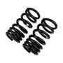 Old Man Emu Rear Coil Springs Set for Mitsubishi Montero 2917 Heavy Duty