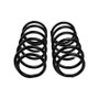 Old Man Emu Rear Coil Spring Set Toyota 4Runner 1990-1995 ARB OME