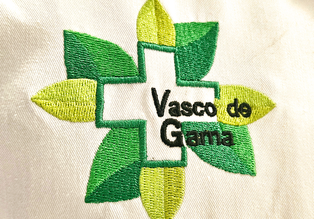 imagen vasco de gama 1