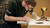 Interior Wrapping Course Surfex Academy