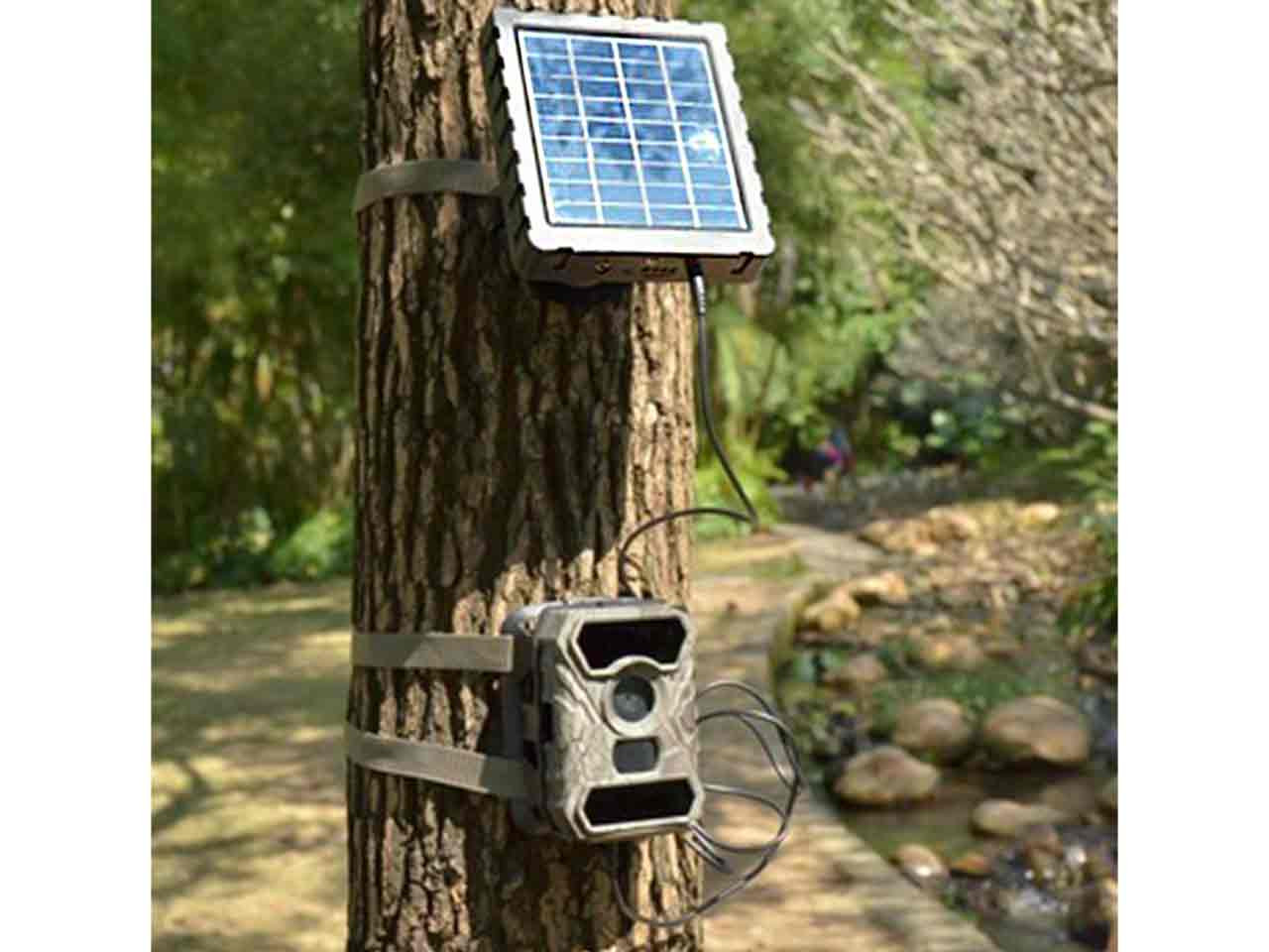 solar battery guard