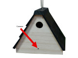 Birdhouse Outdoor Hidden Camera
