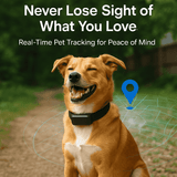 Best GPS Tracker for Dogs: Ensure Safety and Freedom for Your Pet