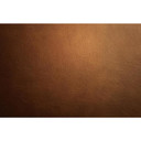 Cognac 24" Cuts By JennAir Leather Panel COGNAC24L
