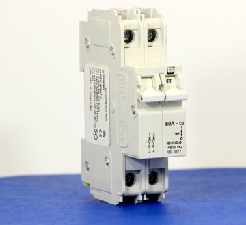 QZD28260 (2 Pole, 60A, 277/480VAC, UL Recognized (UL 1077))