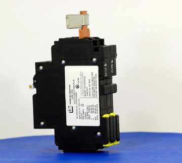 QY29U2X0005 (2 Pole, 100A, 125VDC, UL Listed (UL 489))