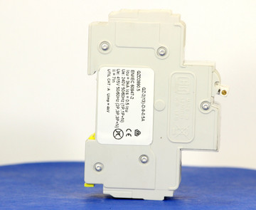QZD2890.5 (2 Pole, 0.5A, 277/480VAC, UL Recognized (UL 1077))