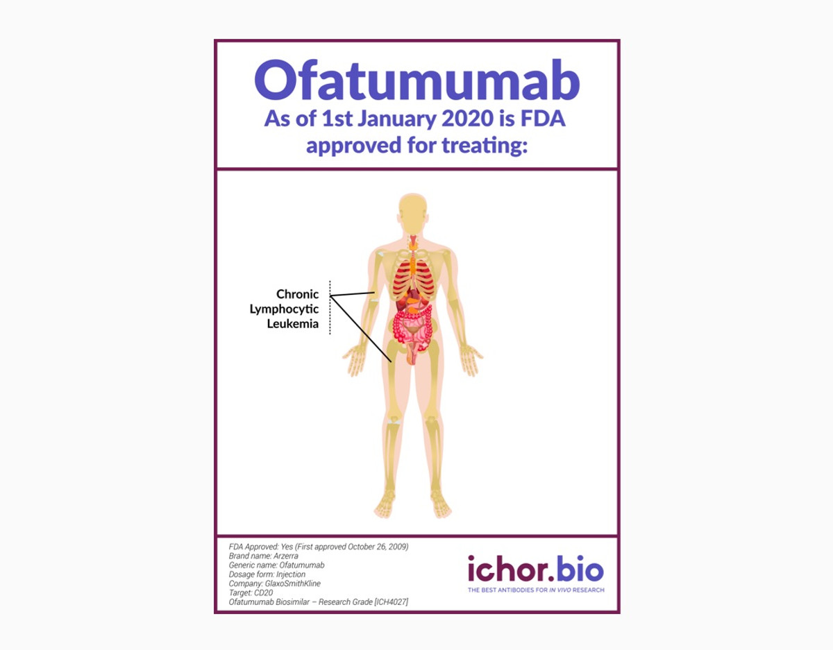 Ofatumumab Biosimilar - Research Grade