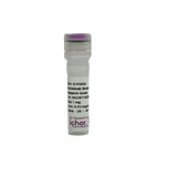 Image of Bulk anti-Human CD3 antibody, Clone UCHT-1