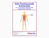 Ado-Trastuzumab Emtansine Biosimilar - Research Grade