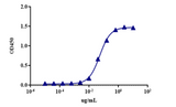 When human PD-1 is immobilized at 2µg/mL (100 µL/well), the concentration for 50% of maximal effect(EC50) of this toripalimab biosimilar is 0.0523 ug/ml.