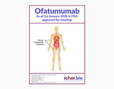 Ofatumumab Biosimilar - Research Grade