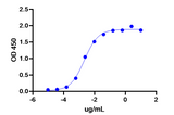 When human EGFR is immobilized at 2µg/mL (100 µL/well), the concentration for 50% of maximal effect (EC50) of this ichorbio necitumumab biosimilar is 0.00219 ug/ml.