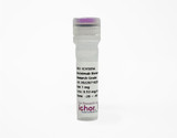 Image of ichorbio's Anti-Mouse TCR V gamma 2 In Vivo Antibody - Low Endotoxin (UC3-10A6)