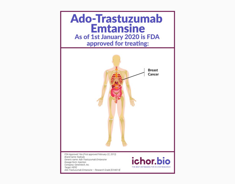 Ado-Trastuzumab Emtansine Biosimilar - Research Grade