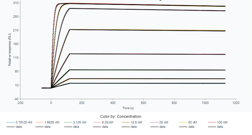 ichorbio's ibalizumab biosimilar captured on Protein A chip , can bind its antigen with a KD constant of 2.42E-11 M, determined by SPR assay .