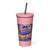 Insulated Tumbler with Straw for Hot and Cold Beverages